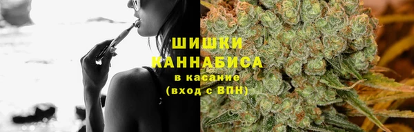 стафф Вязьма