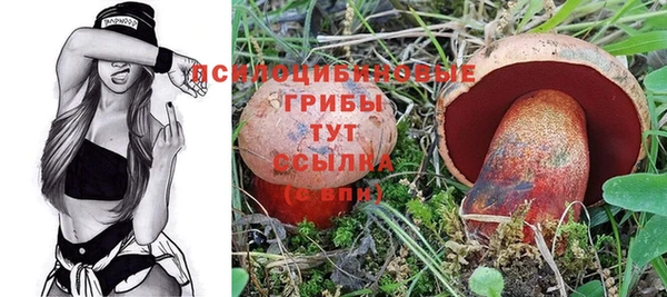 spice Арсеньев