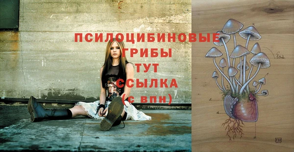 spice Арсеньев