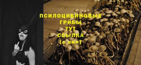 ПСИЛОЦИБИНОВЫЕ ГРИБЫ Аркадак